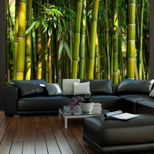Fototapeta - Azjatycki las bambusowy