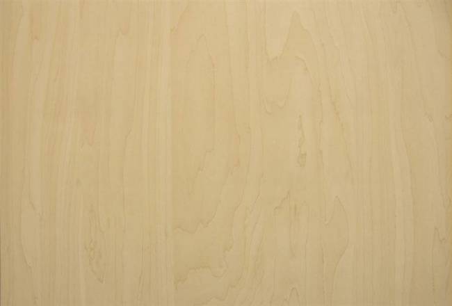 Okleina meblowa samoprzylepna 90cm drewno jasna brzoza 11173